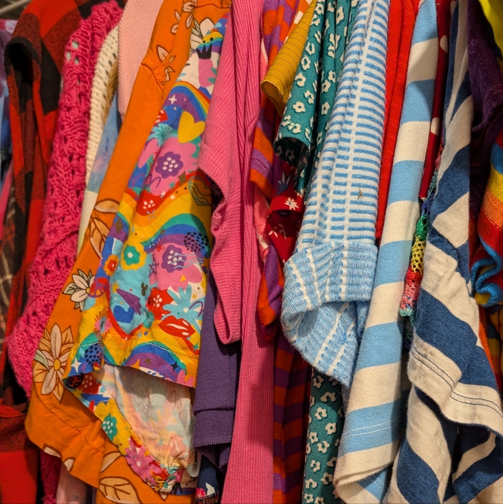 Mystery Box of Women's Clothing 2X